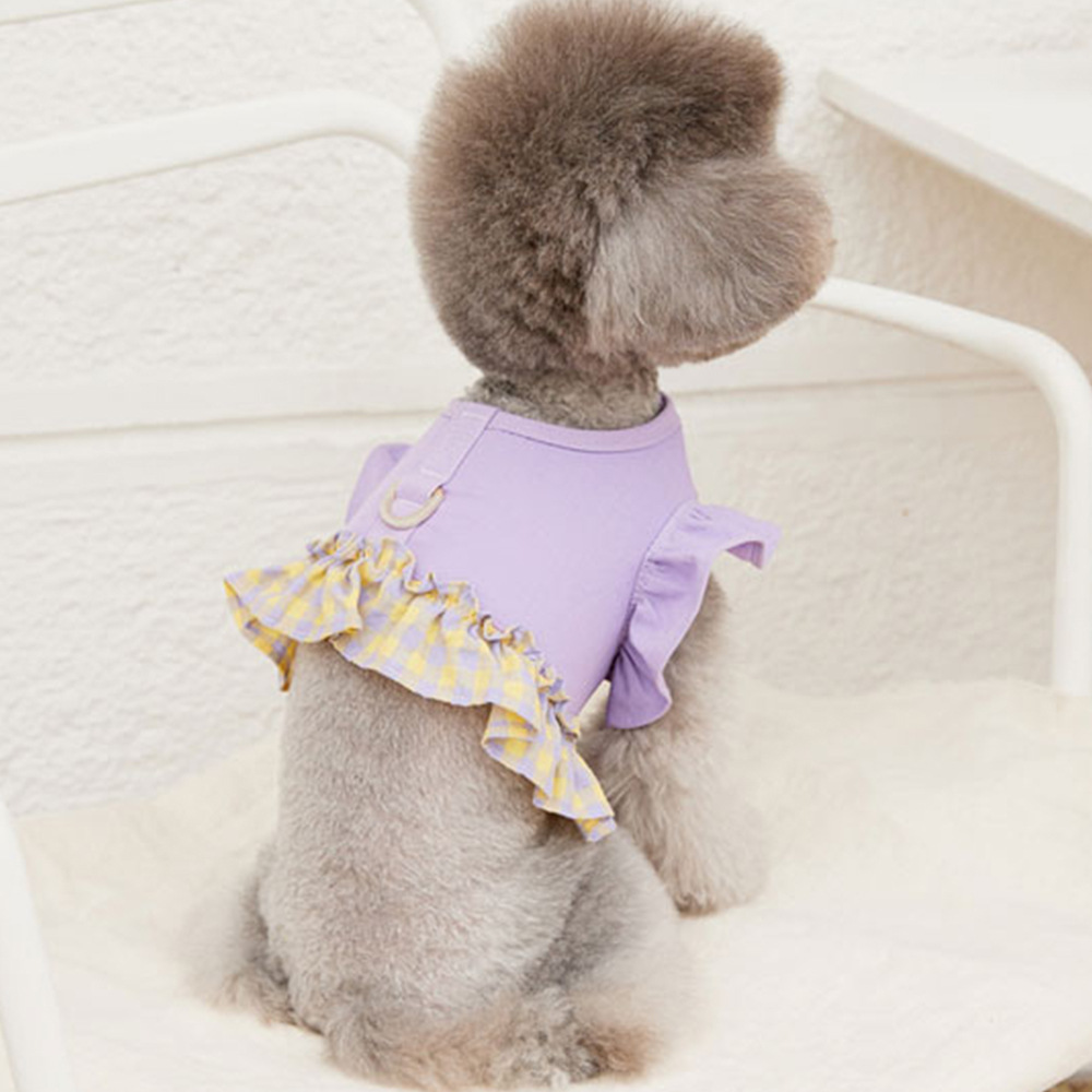 Dog Color Contrast Traction Ro - Lace Teddy Lingerie review and price